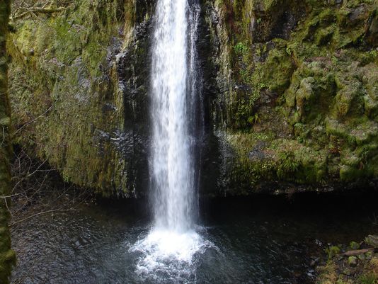 drift creek falls