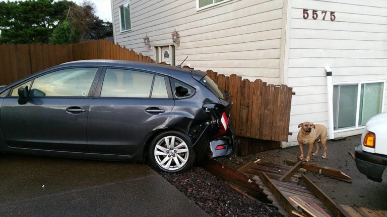 Hit and Run on Roads End