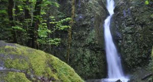 green friday oregon state parks