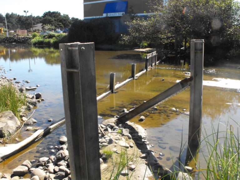Nelscott sewer pump station spills millions of gallons of raw sewage onto beach