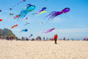 2017 Lincoln City Summer Kite Festival x-kitement