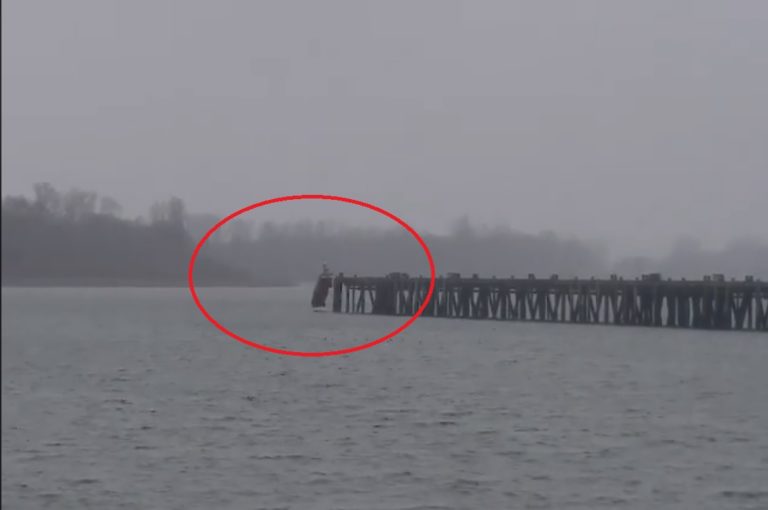 Man drives truck off Astoria pier while eluding police