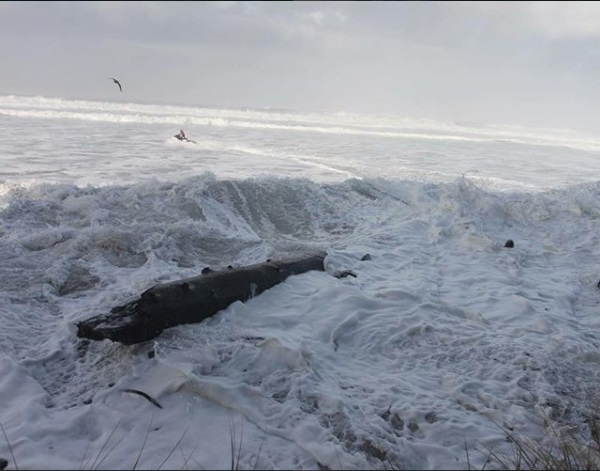 The Battle for Nelscott Reef Continues