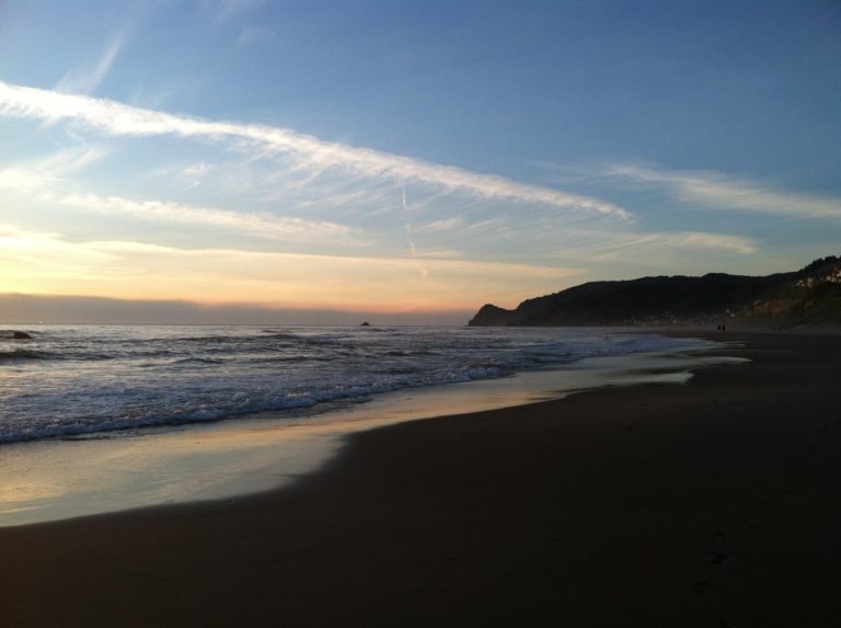 2018 BEACHCOMBING CLINICS