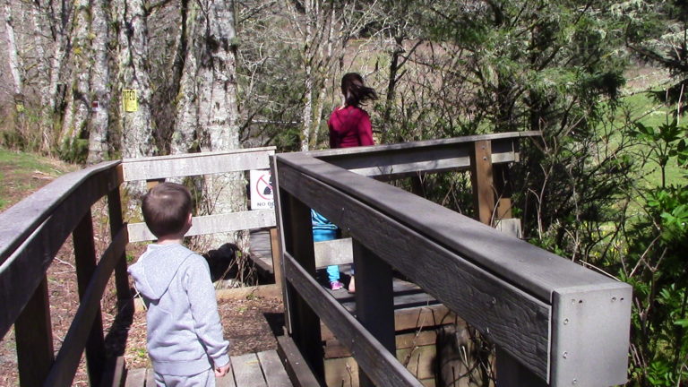 Cascade Head Trail not really for little kids