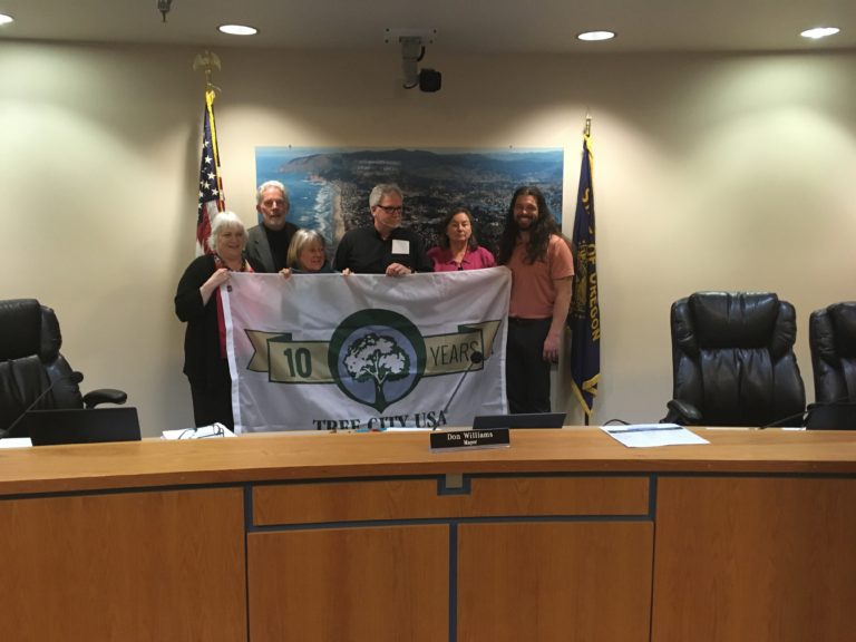 Lincoln City Council tests its bandwidth
