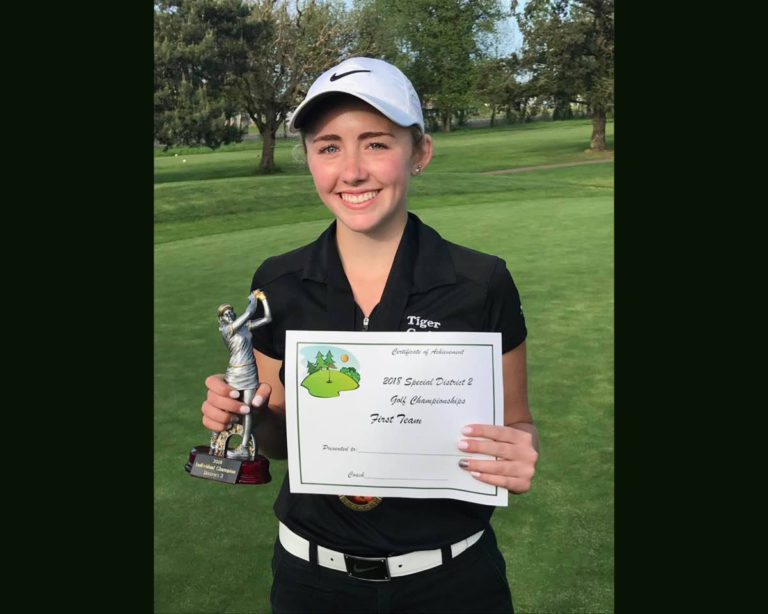Hatton wins District golf title, leads Tigers to State