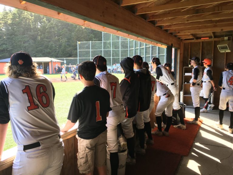 Hawks end Tigers’ dream season with State semifinal victory