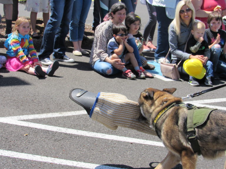 German Shepherd Bonni won’t let go at Touch-A-Truck