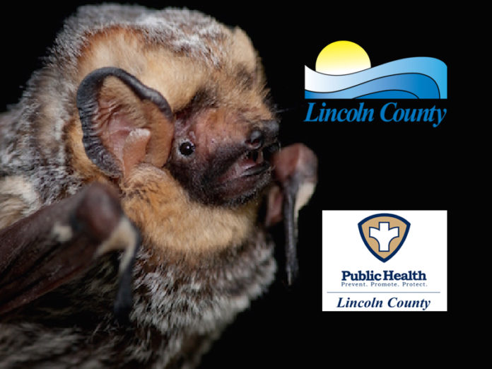 Bat tests positive for Rabies Handle wild animals with care
