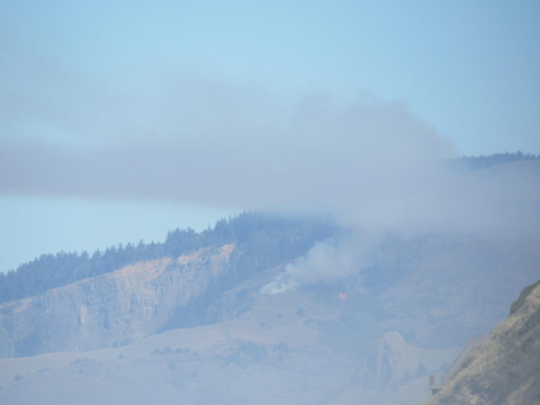 Department of Forestry controlled burn today at Cascade Head