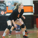 Volley pic