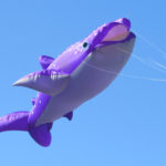 Blue Sky FLying