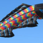 Fish 2