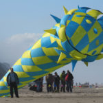 Kite Festival