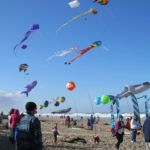Kites in the sky