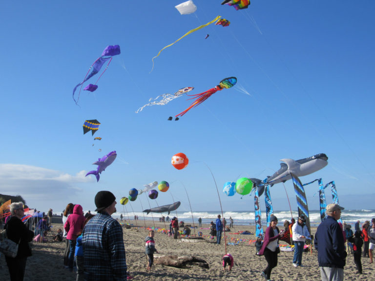 Kite Festival 2023