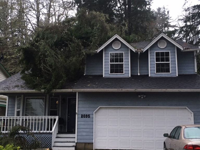 High winds blow tree, power lines onto house in Lincoln City