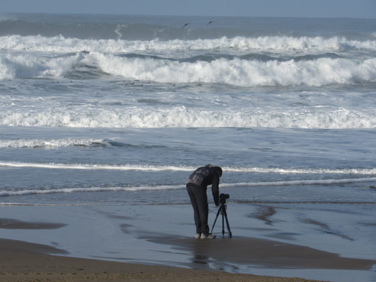 Oregon beaches schedule for monitoring of bacteria in 2024/2025