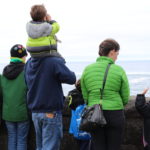 Whale_Watch_-_Family
