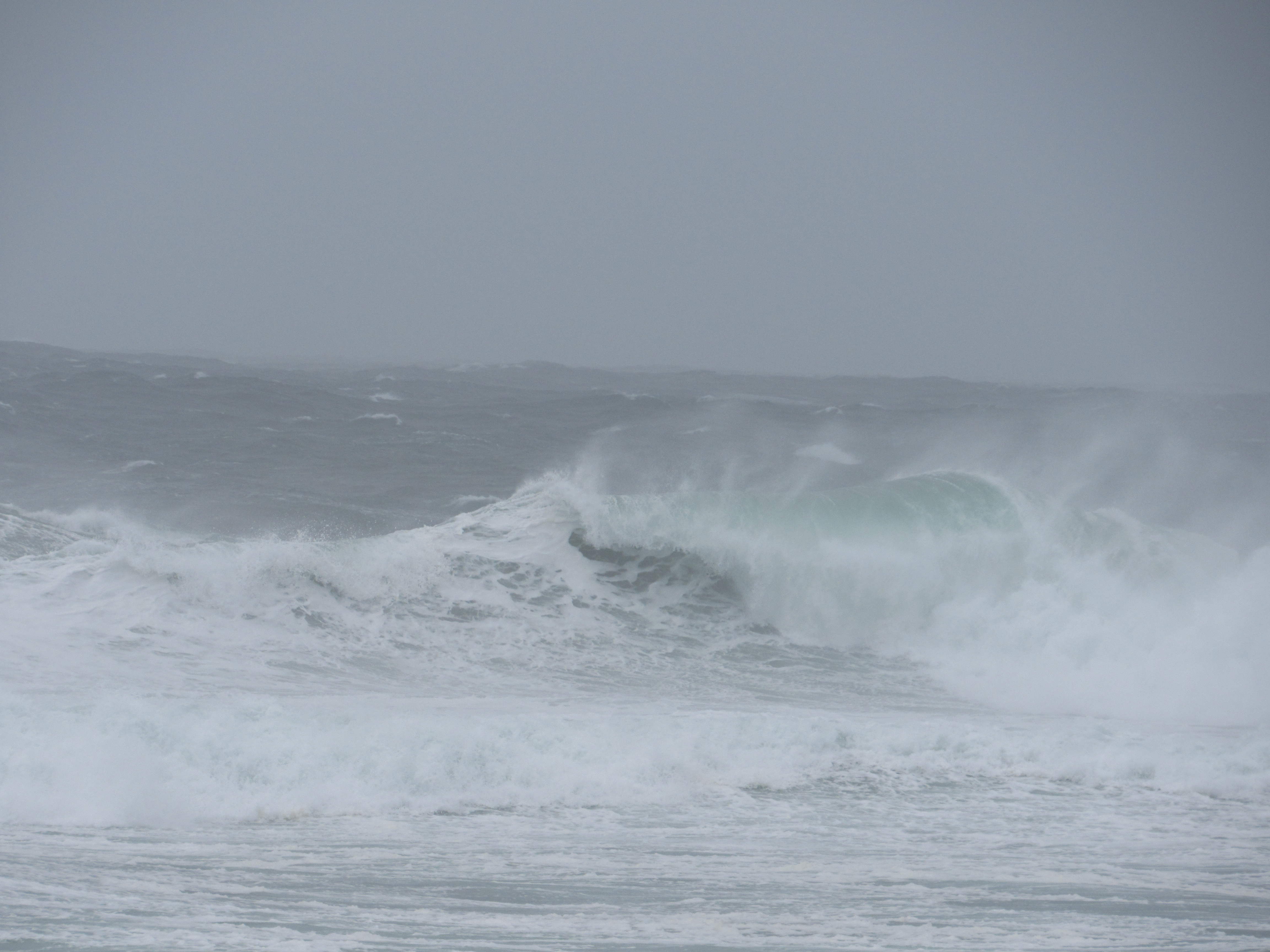 Lincoln City Waves Justin Werner