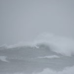 IMG_0015 (1)