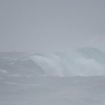 IMG_0016 (1)