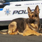 Lincoln City k9