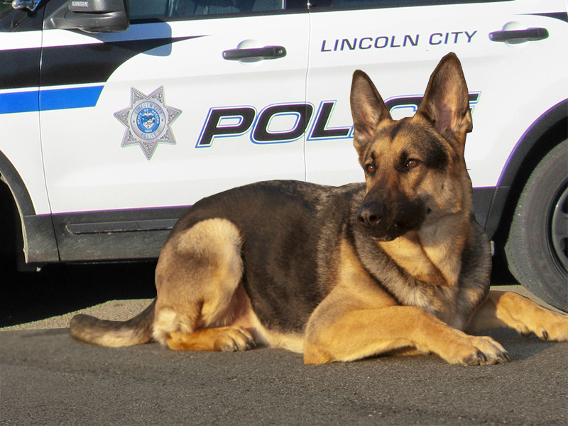 Lincoln City k9