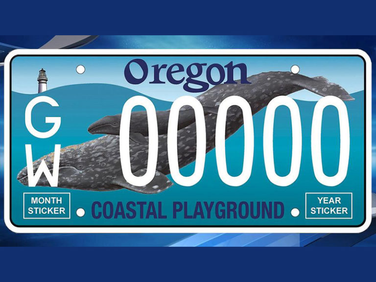 Get your Gray Whale license plates beginning Friday in Oregon