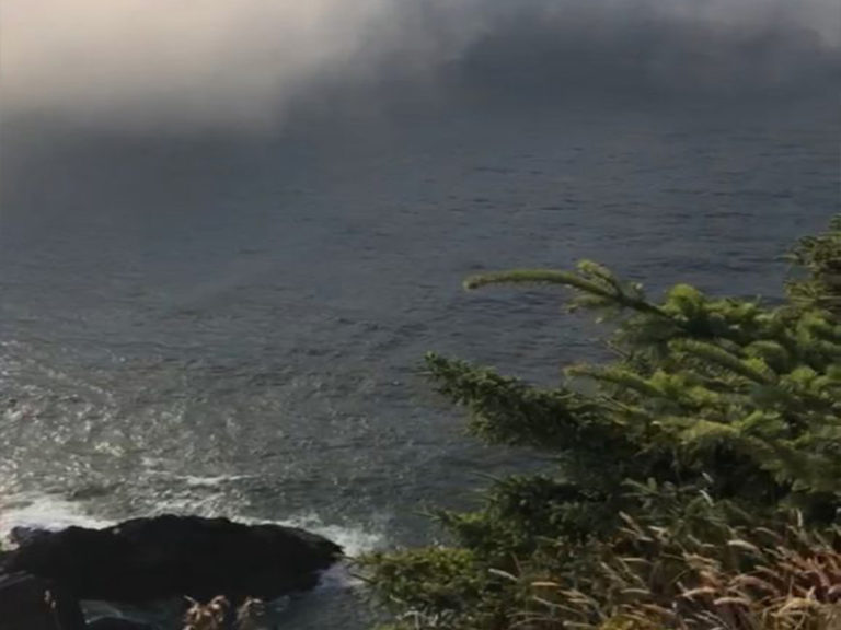 Deceased body identified as 63-year-old Lincoln City woman