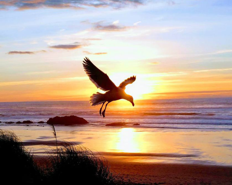 Stunning beach sunset moment captured by Wesley Culver