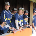 Brookings Bruins