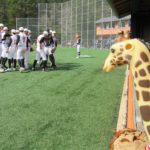 Melman looks on