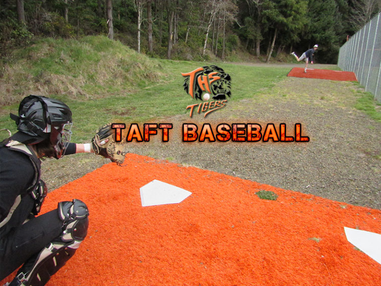 Tigers return building blocks for another State playoff run