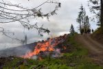 controlled burn rules
