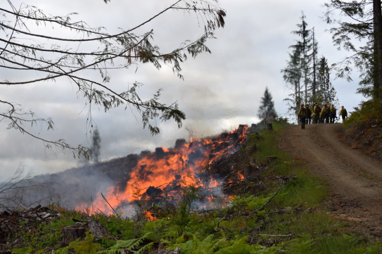 Rules modified to protect air quality from controlled forest burns