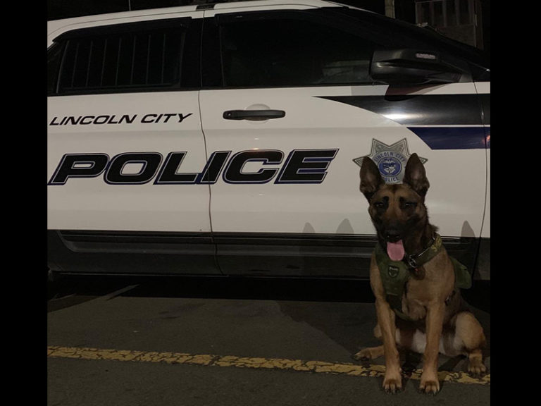 K9 Nix assists LCPD’s Liden in pursuit of felony suspect on beach