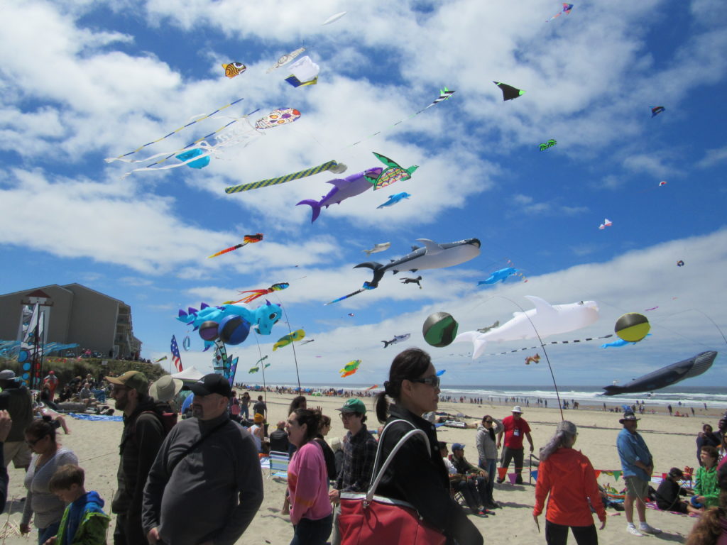 Lincoln City Summer Kite Festival 'Zooms' to new heights