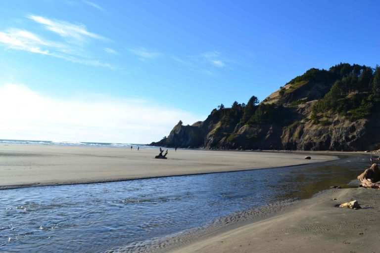 UPDATED: Health advisory issued for bacteria in Agate Beach, Seal Rock waters