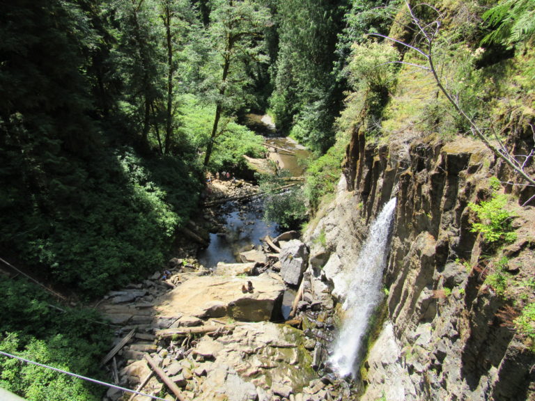A hike for all ages: Drift Creek Falls