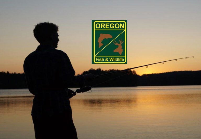 2025 Halibut season announced
