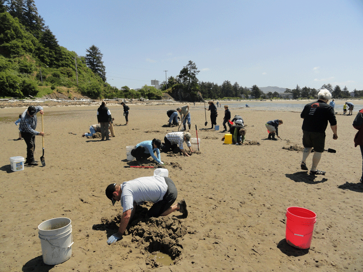 ODFW posts warning about clam harvesting