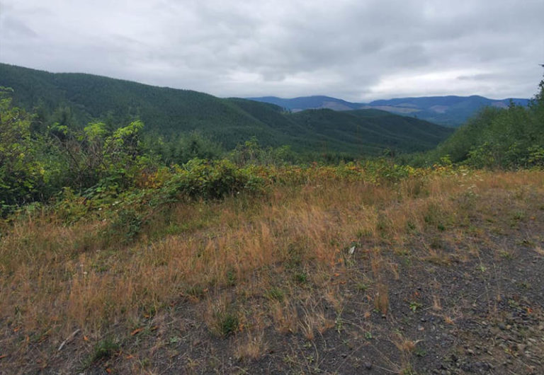 Body of missing railroad engineer found in Rose Lodge
