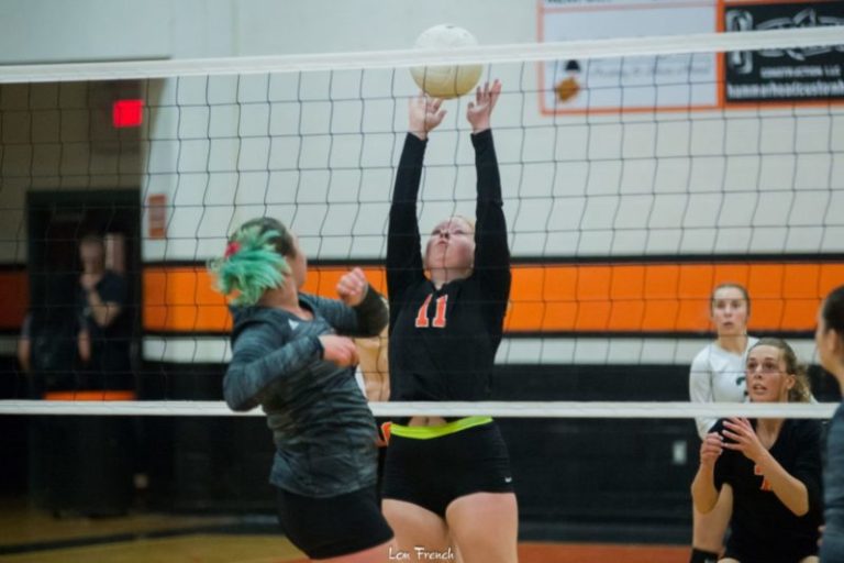 Improved Tigers out to net greater success on volleyball court