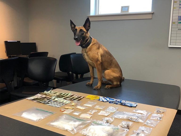 ‘Good girl’ finds pound of meth in Newport drug bust