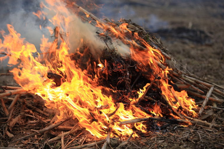 Yard debris burning allowed starting Sept. 19 for Lincoln County