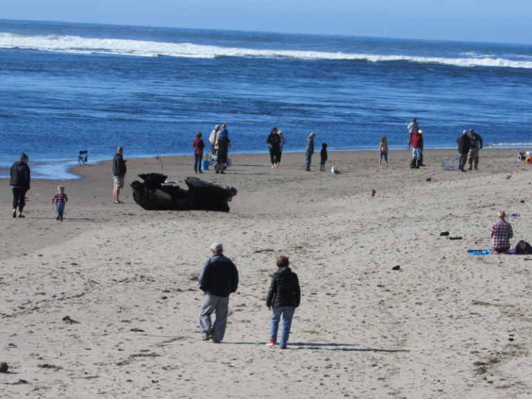 Photos: Good weather brings multitudes to Lincoln City’s Siletz Bay