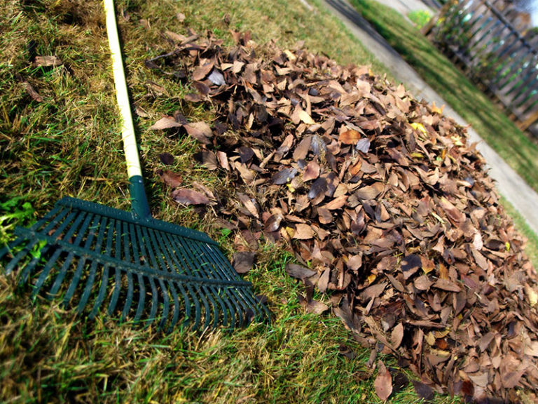 Residential yard debris service to roll out next spring