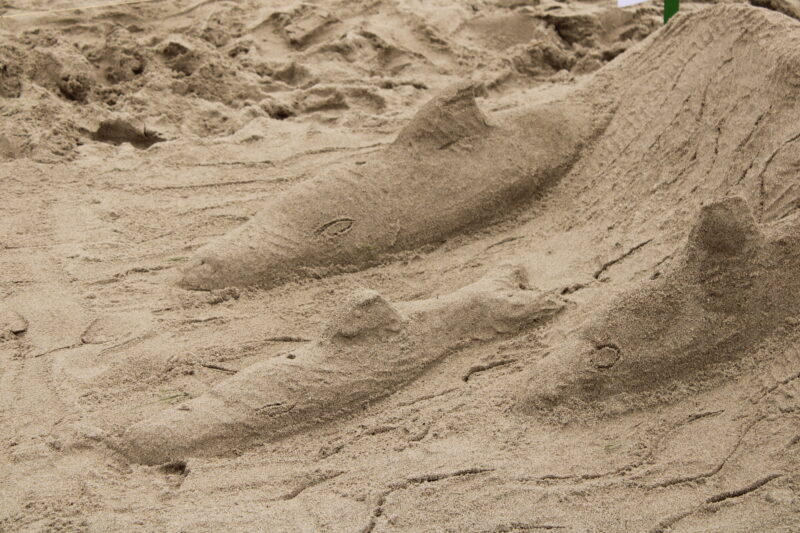 Lincoln City Sandcastle Contest